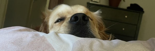 tuykai_ Profile Banner