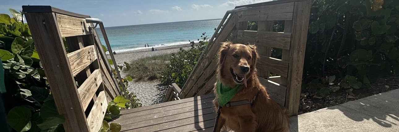 Andrew Knight banner