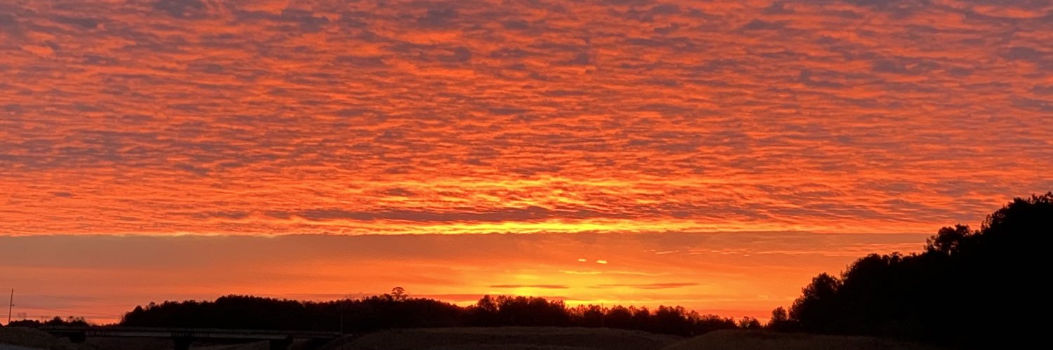 wanda Jones Parks banner