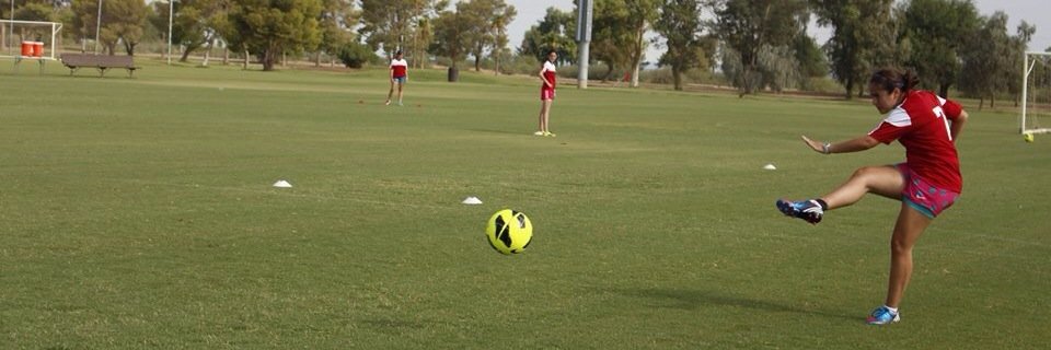 danicasti14's profile banner image
