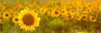 Kayy_Smallz's profile banner image
