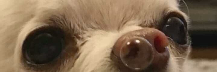 sillughhh's profile banner image