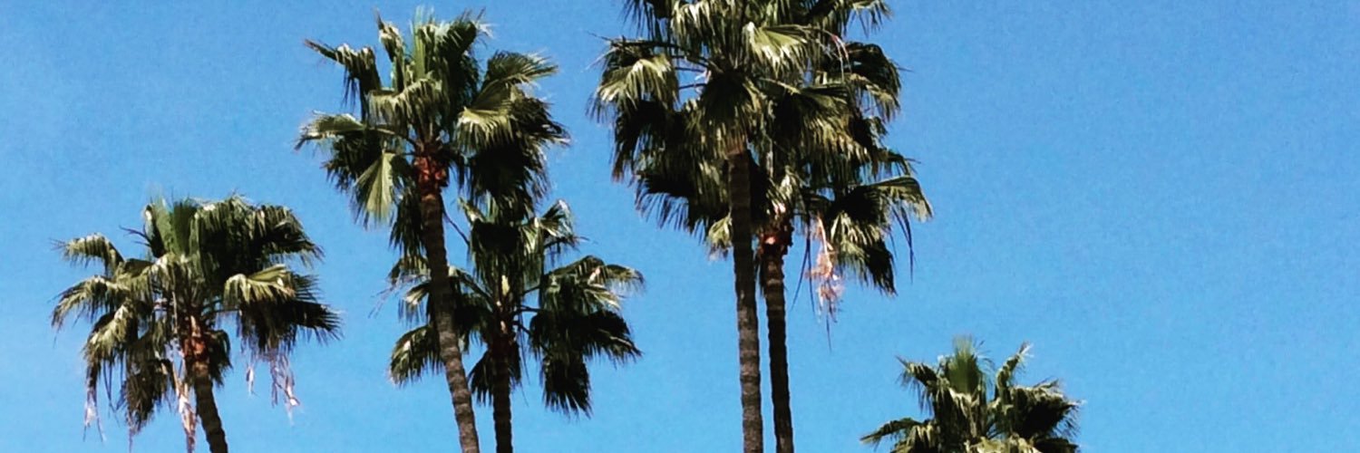 alejandra_pml's profile banner image