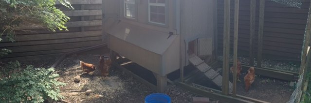 Sarah Gower MD banner