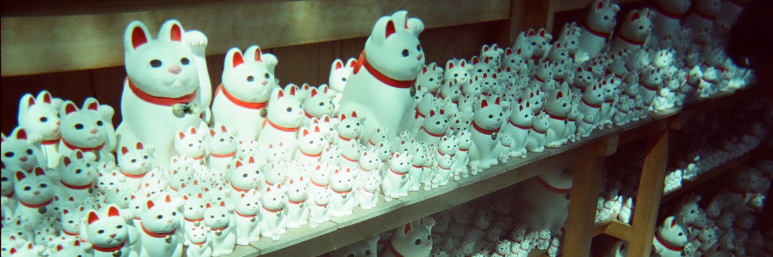 benjibujabear's profile banner image