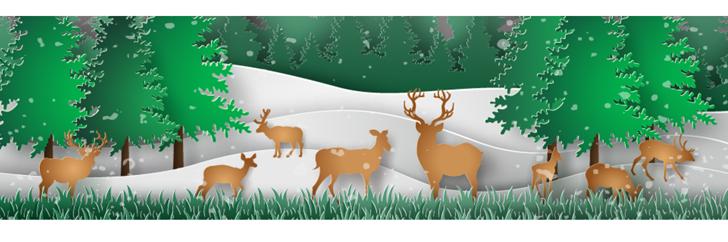 JollyReindeer's profile banner image