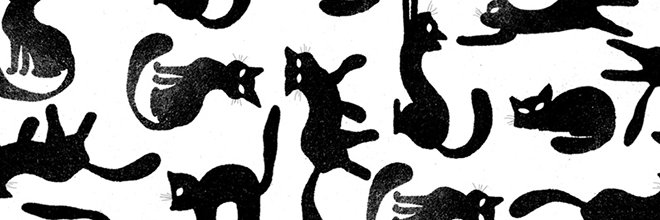 katesellsshells's profile banner image