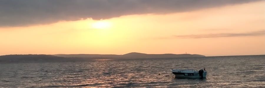 dygrdrn's profile banner image