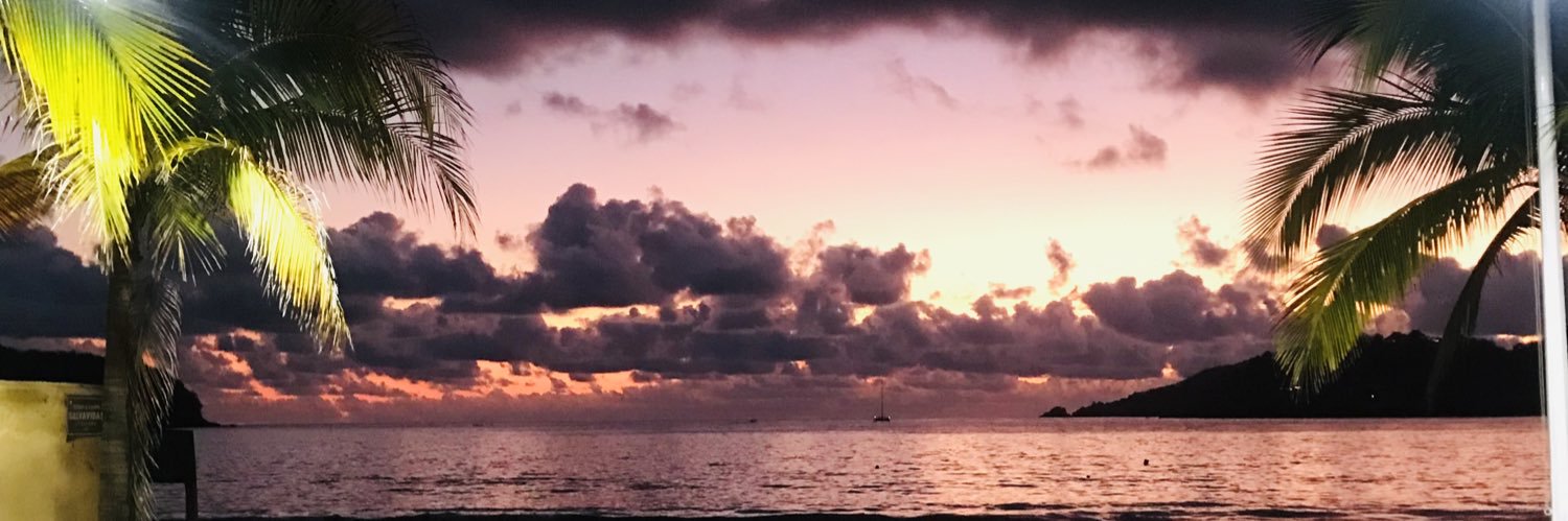 SandyRngel's profile banner image