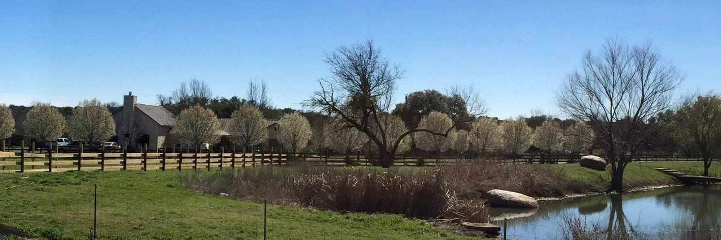 KingRiverRanch's profile banner image