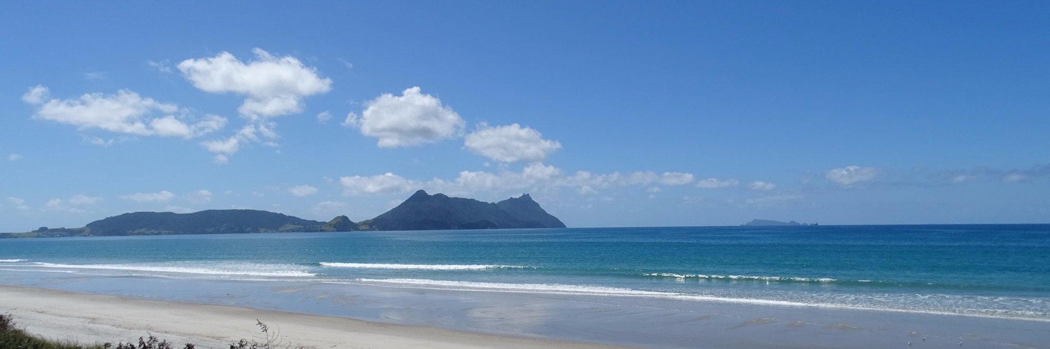 Dr Shane Reti banner