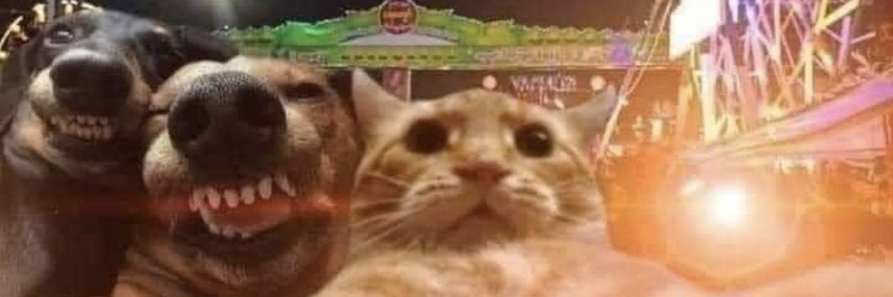 vlrgobabyy's profile banner image