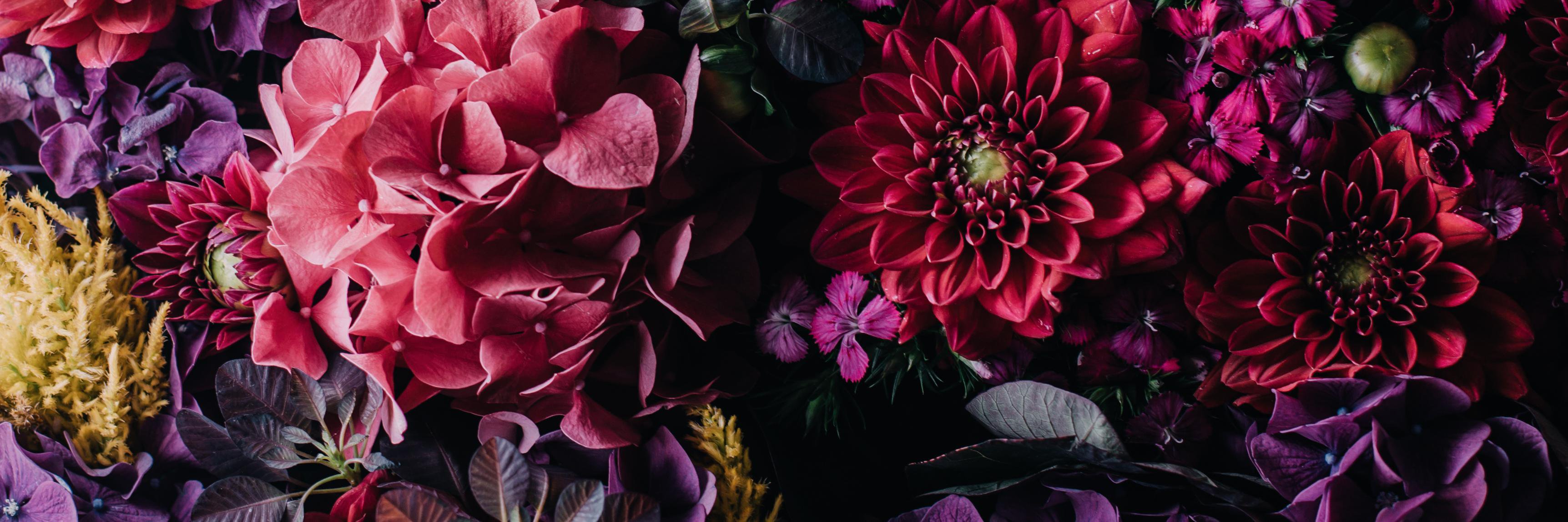 daljit_'s profile banner image