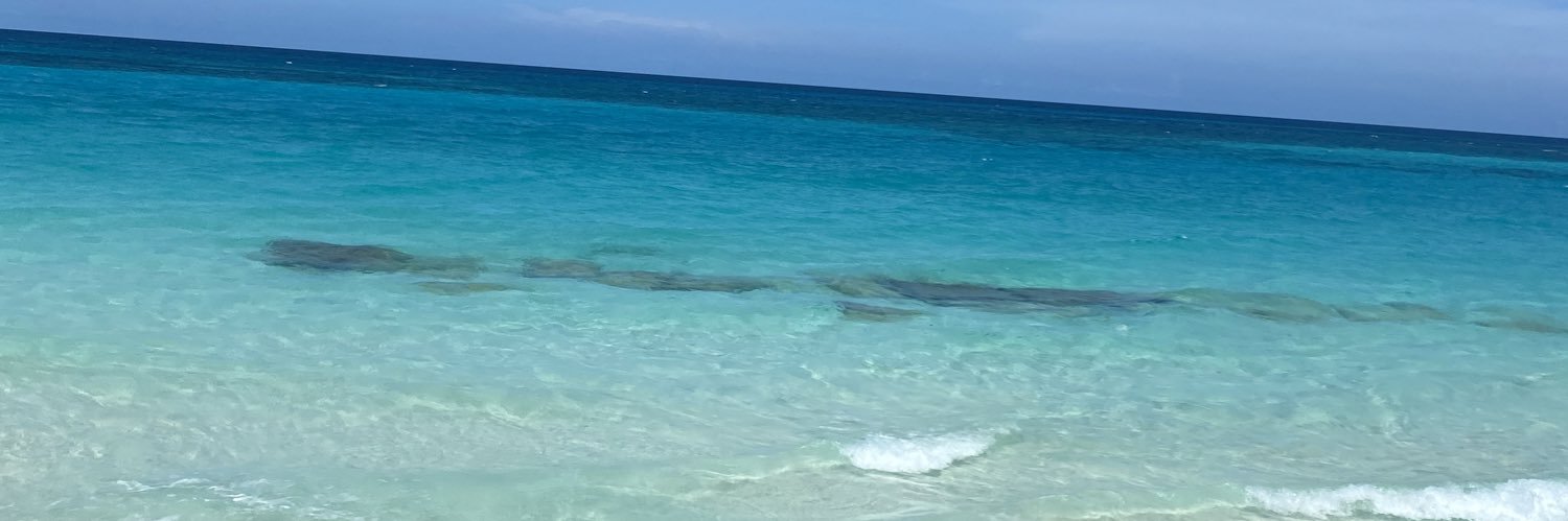 ItsDanaBEE_'s profile banner image