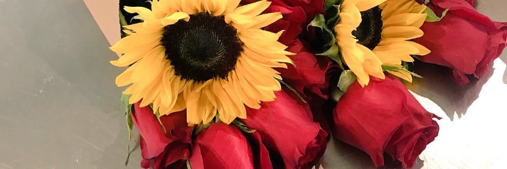MichaelaBarbie3's profile banner image