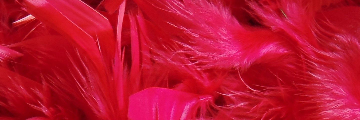 melyaolip's profile banner image