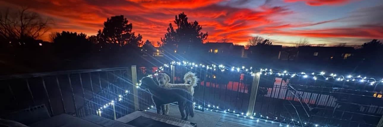 Tara Wasinger banner