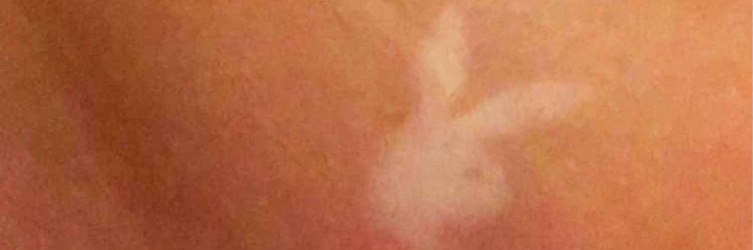 stonecoldsteezo's profile banner image