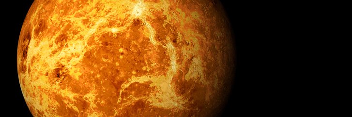VenusZen's profile banner image