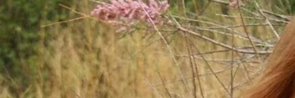 LittleDivaTutus Profile Banner