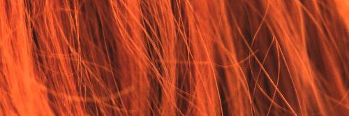MeelManaged's profile banner image