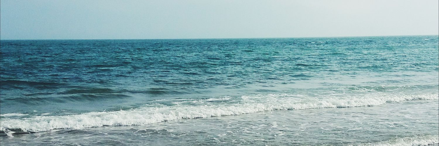 anna_pylypenko's profile banner image