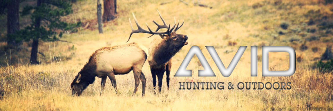 huntavid's profile banner image