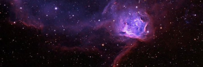star of the sea 💕🌸 banner