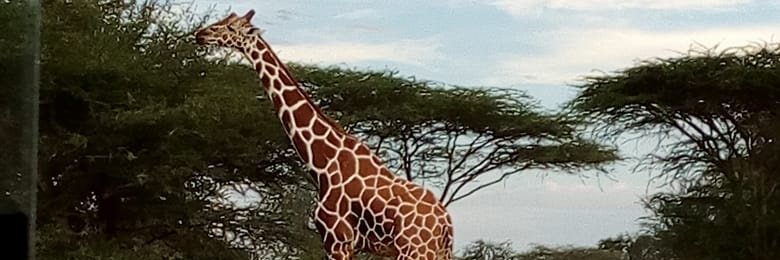 owour439's profile banner image