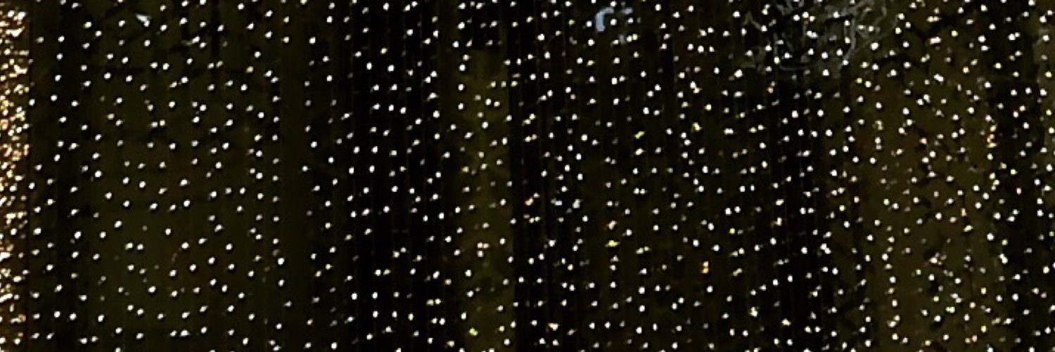 _aninia_'s profile banner image