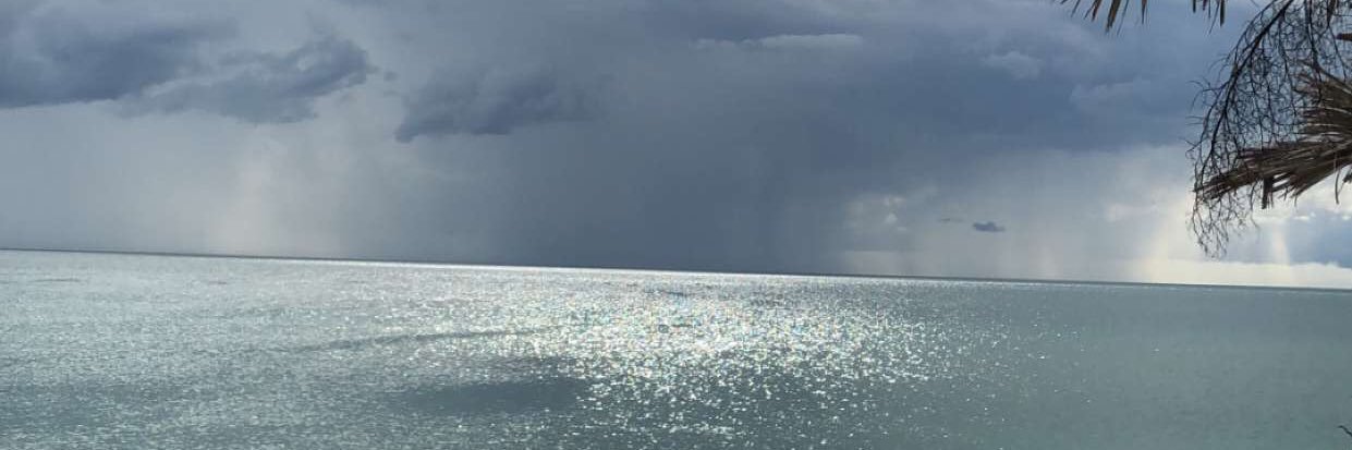 myocean's profile banner image