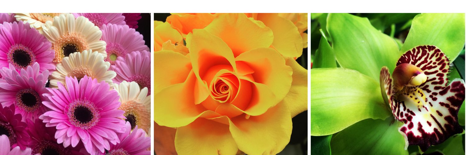 FlowersBSA's profile banner image