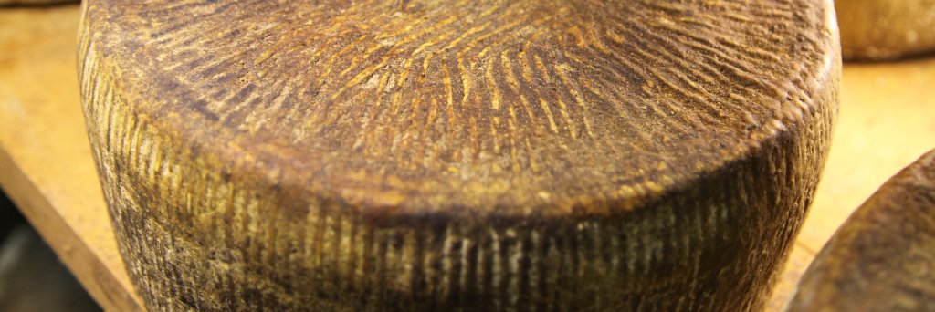 TumaPersa's profile banner image