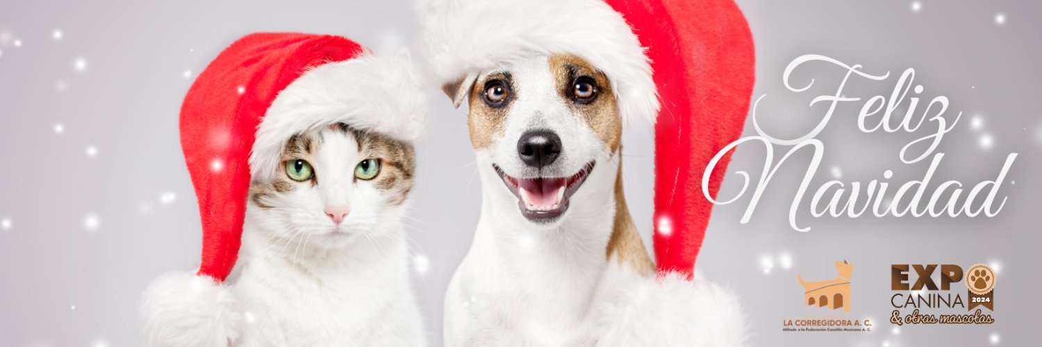 ExpoCanina's profile banner image