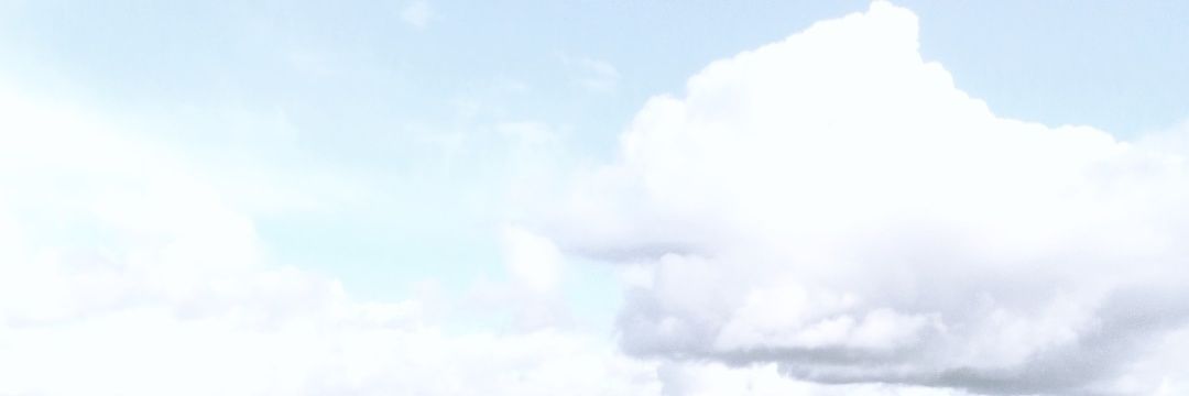 Rasmus Juncker banner