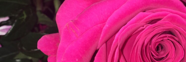 Jordan_16__'s profile banner image