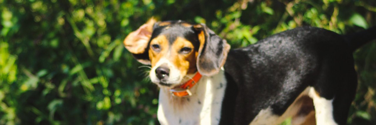lakota_logan's profile banner image