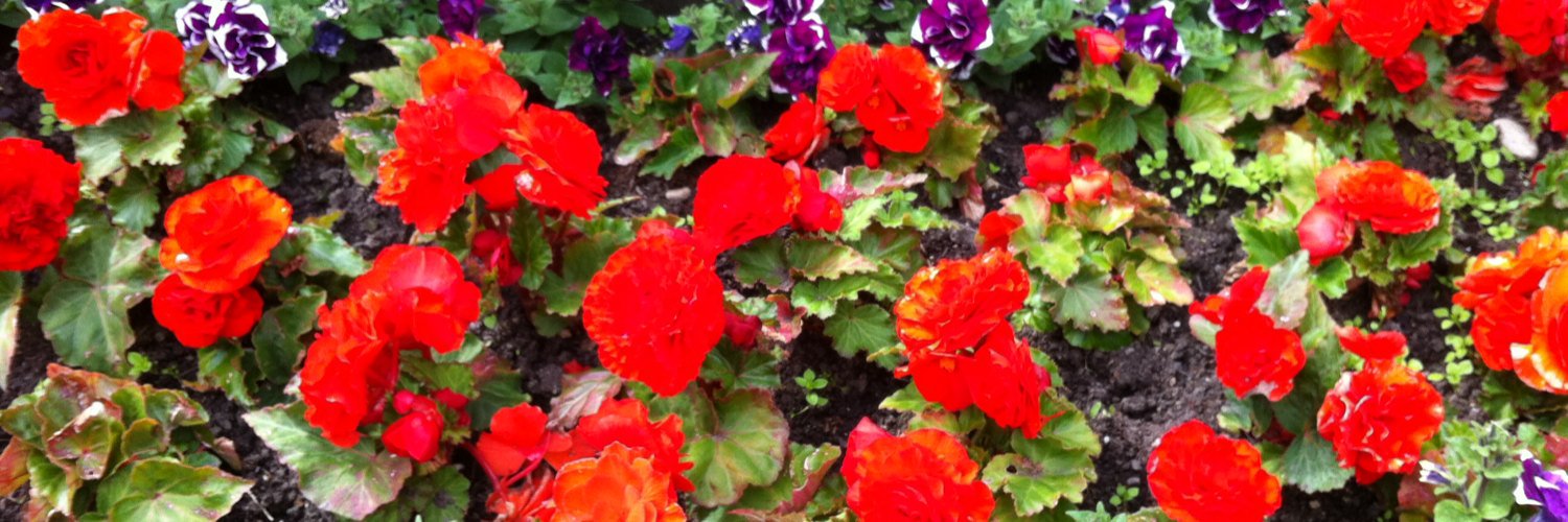 PeriodPal's profile banner image