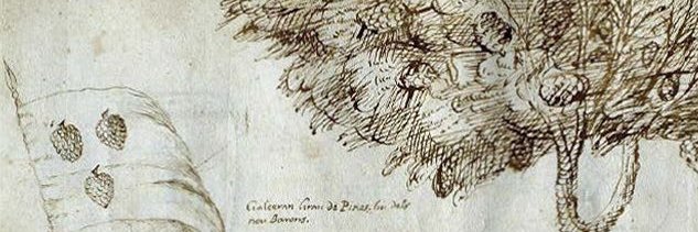 ✠av‡er P‡nell Garc‡a 🗡🏴󠁧󠁢󠁥󠁮󠁧󠁿💀 banner