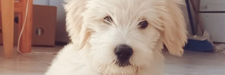 MicaPonce5's profile banner image