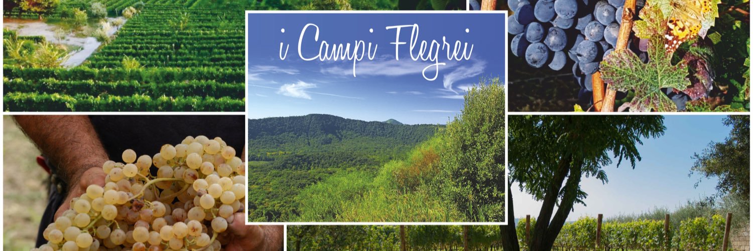 CANTINE ASTRONI banner