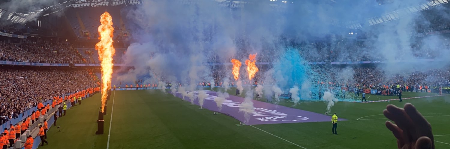 georgia banner