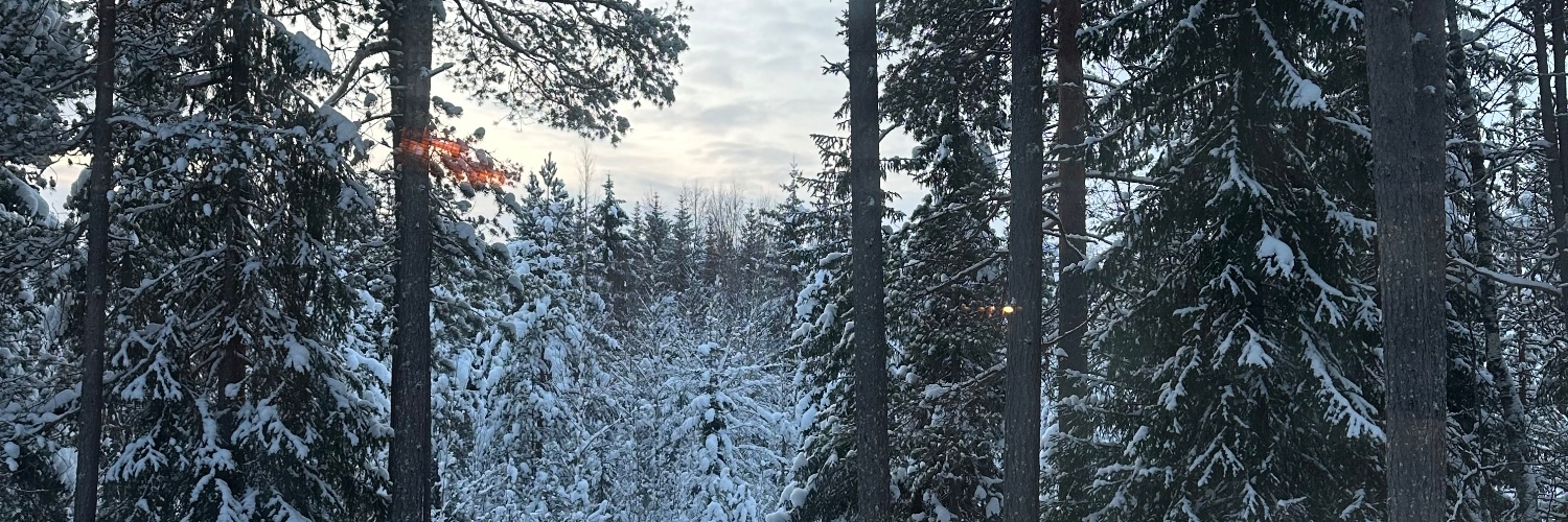 saedcollado's profile banner image