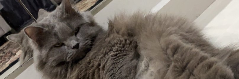 stuartkimi's profile banner image