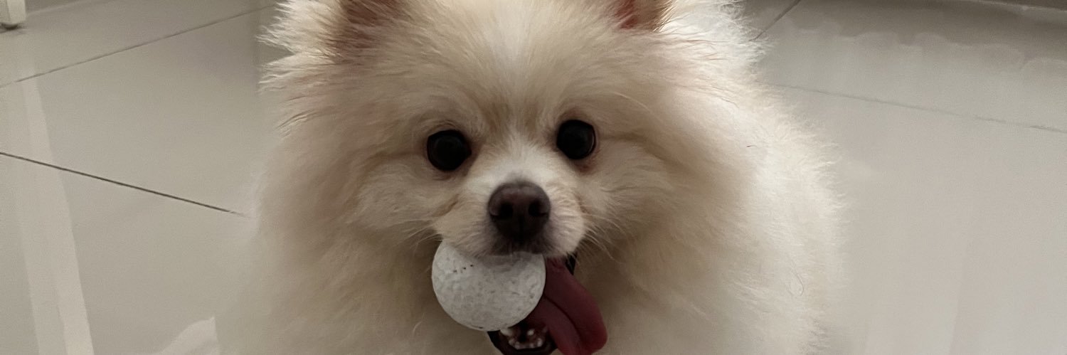 cherysannalisaa's profile banner image