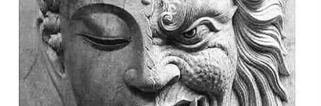 Castaña 🌰 banner