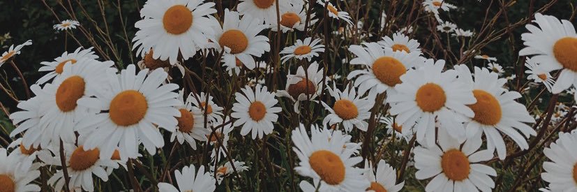 Ashfritch's profile banner image