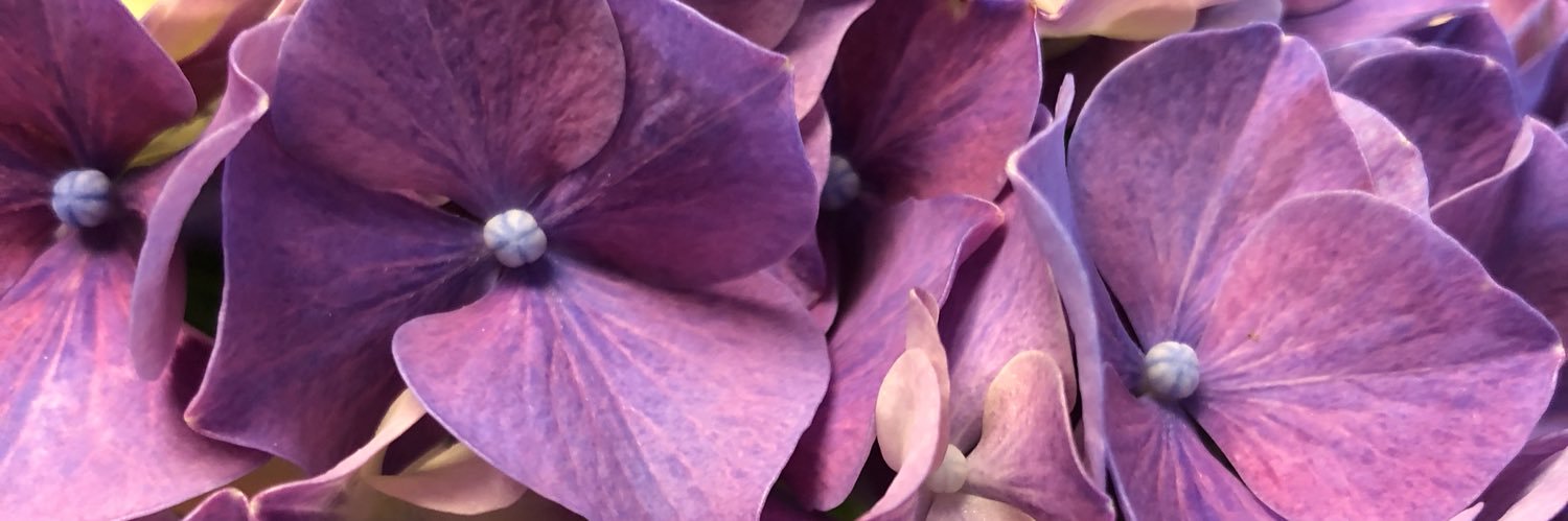 Smree's profile banner image