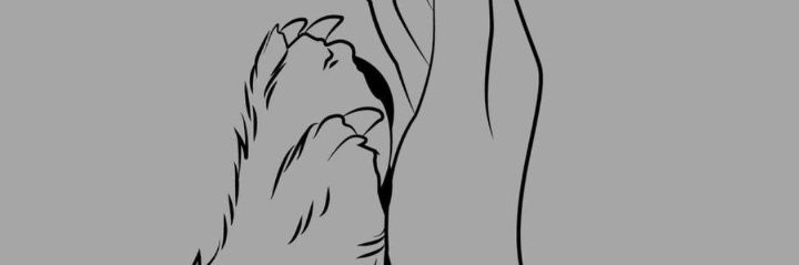 knotty_abby's profile banner image