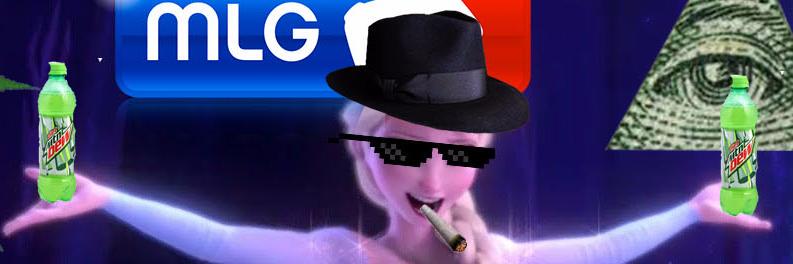 elsu banner